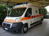 Il parco automezzi